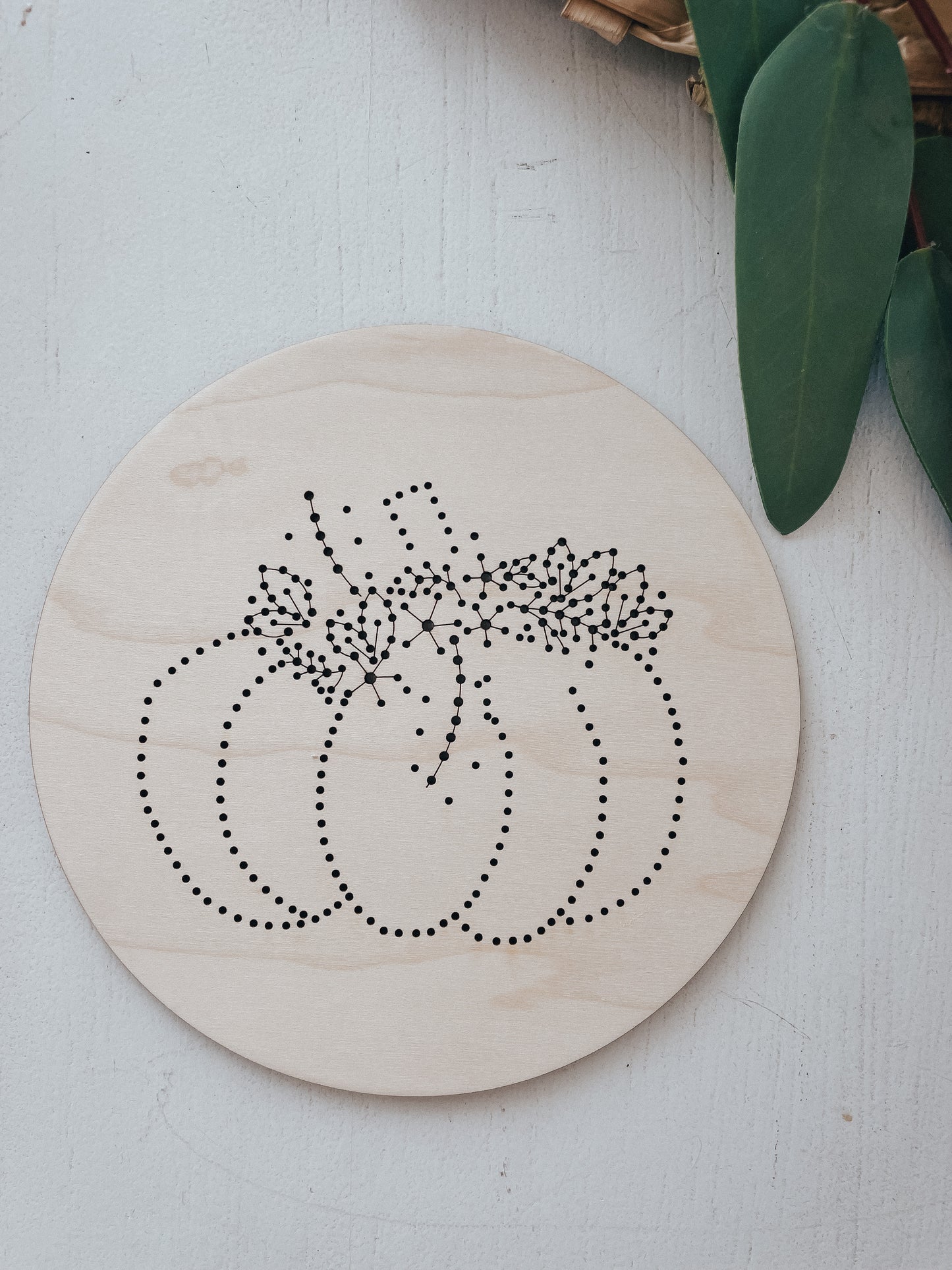 Pumpkin Embroidery Kit