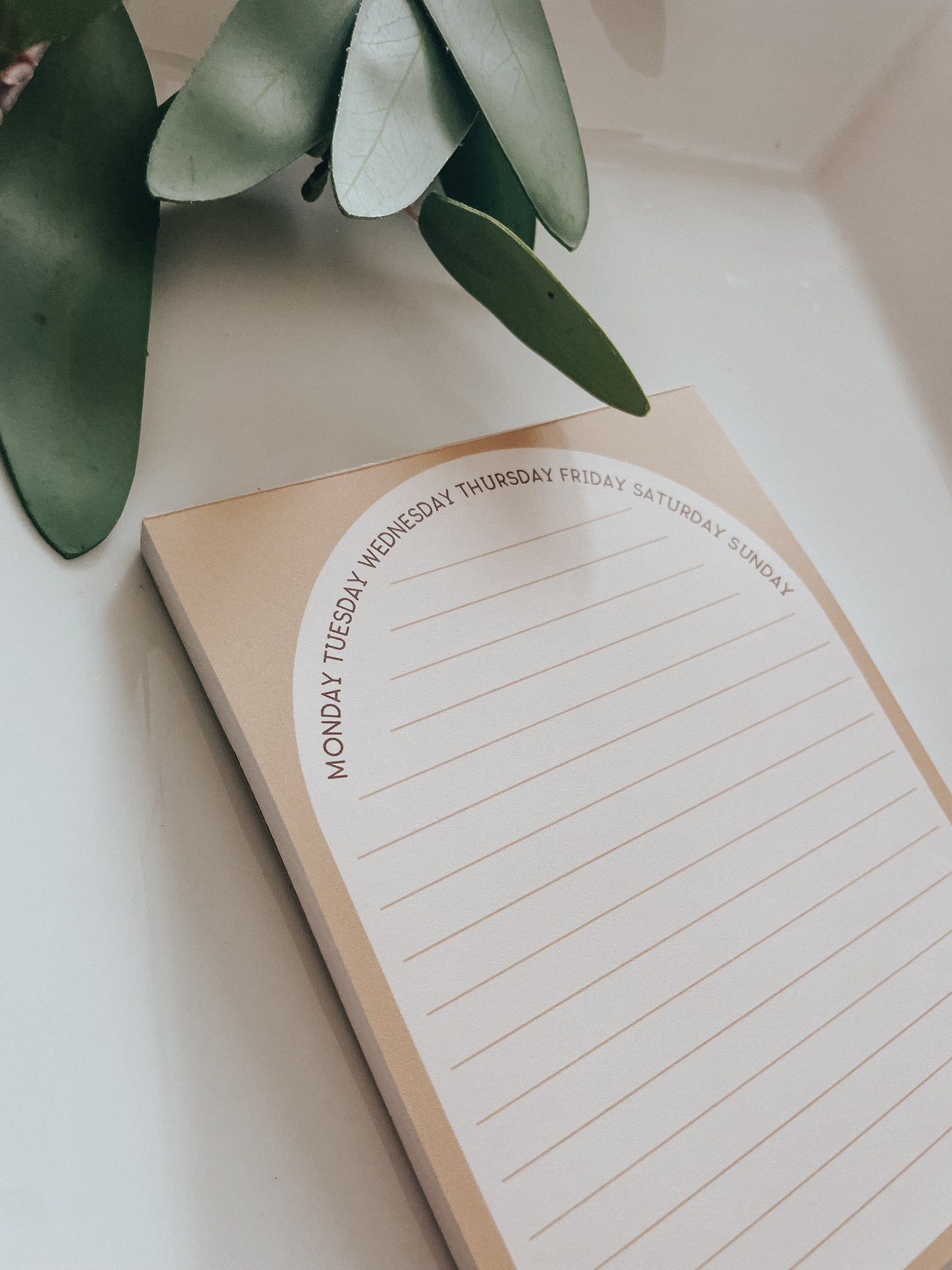 Notepad | Mustard Arch