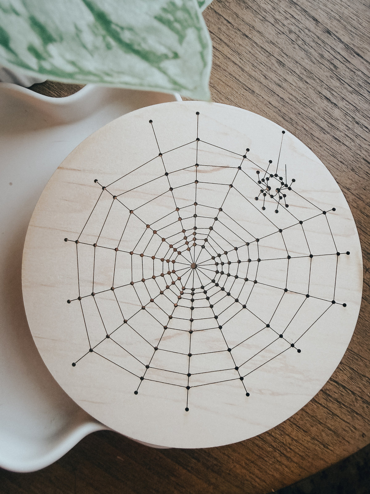 Color Block Spiderweb | Embroidery Kit