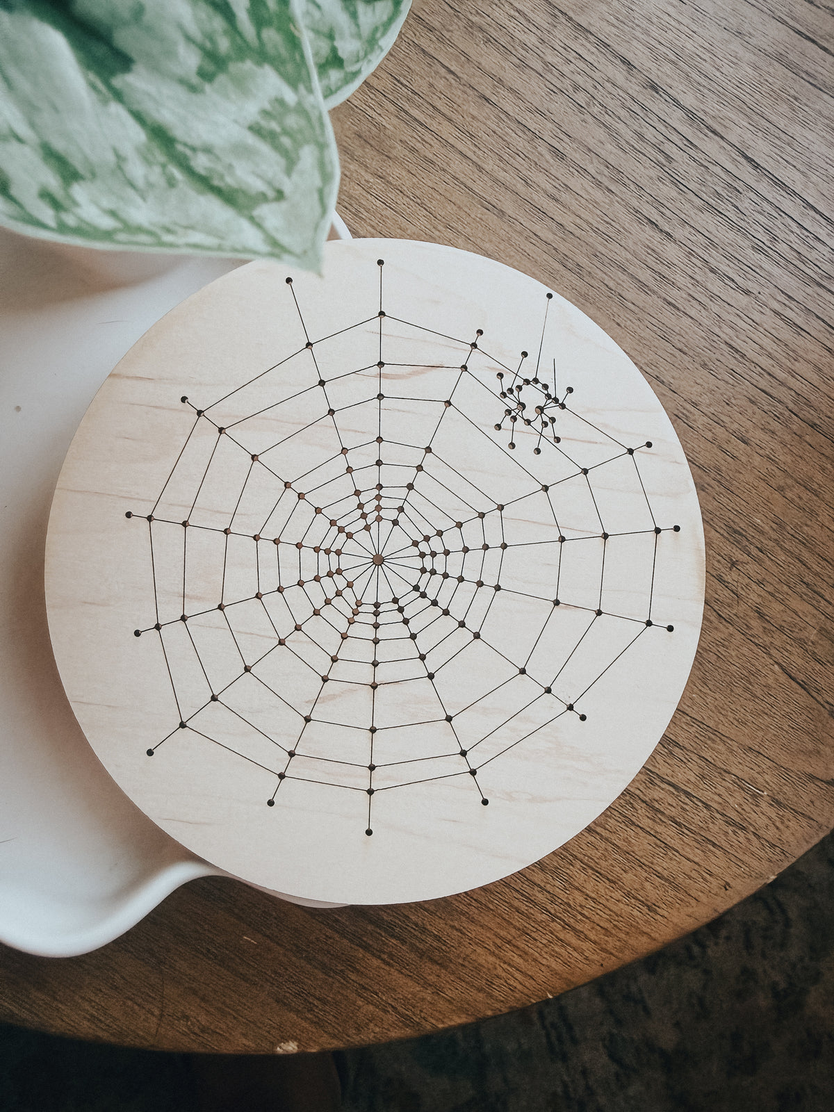 Color Block Spiderweb | Embroidery Kit