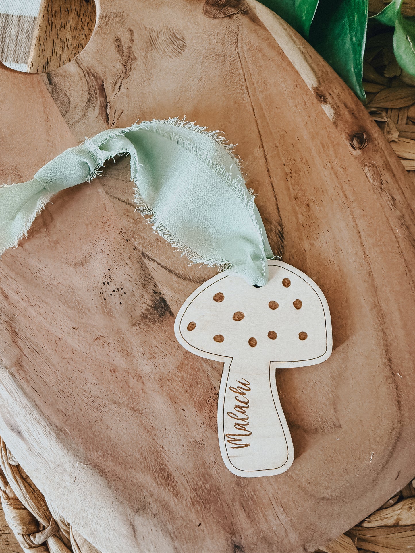 Mushroom | Tag