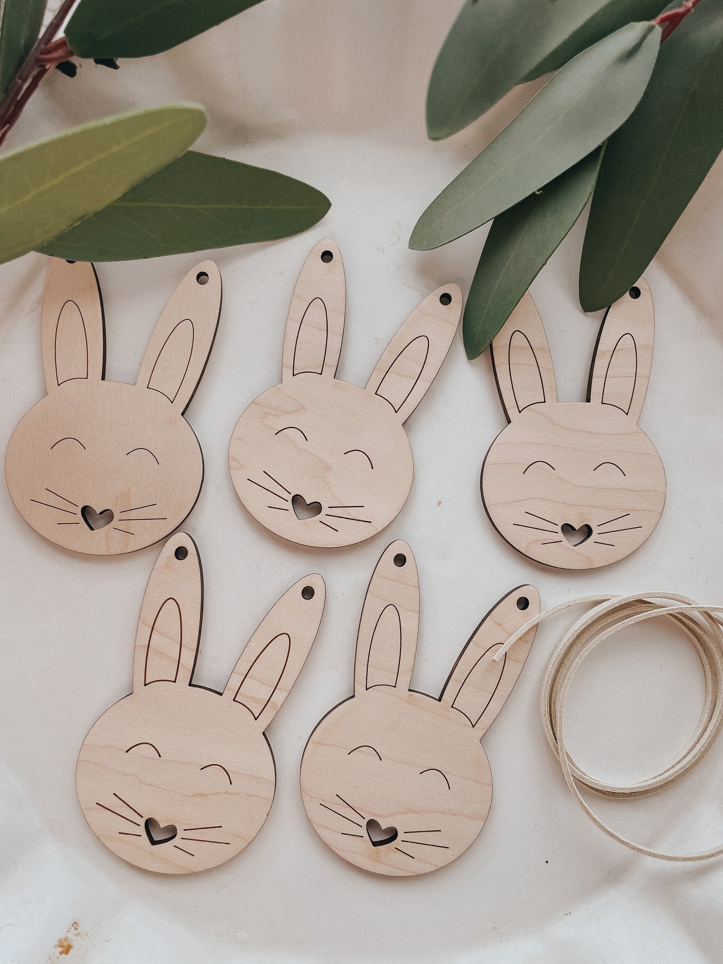 Bunny | Banner