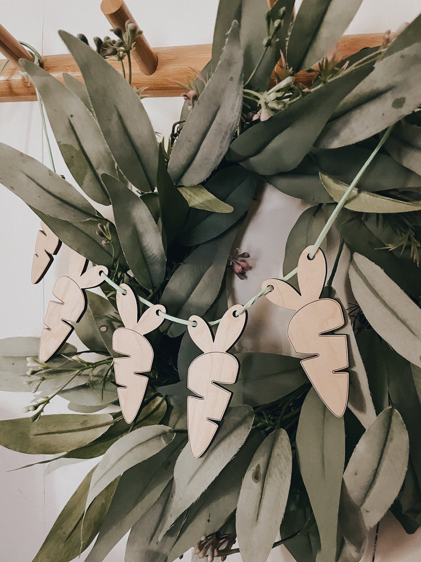 Carrot | Banner