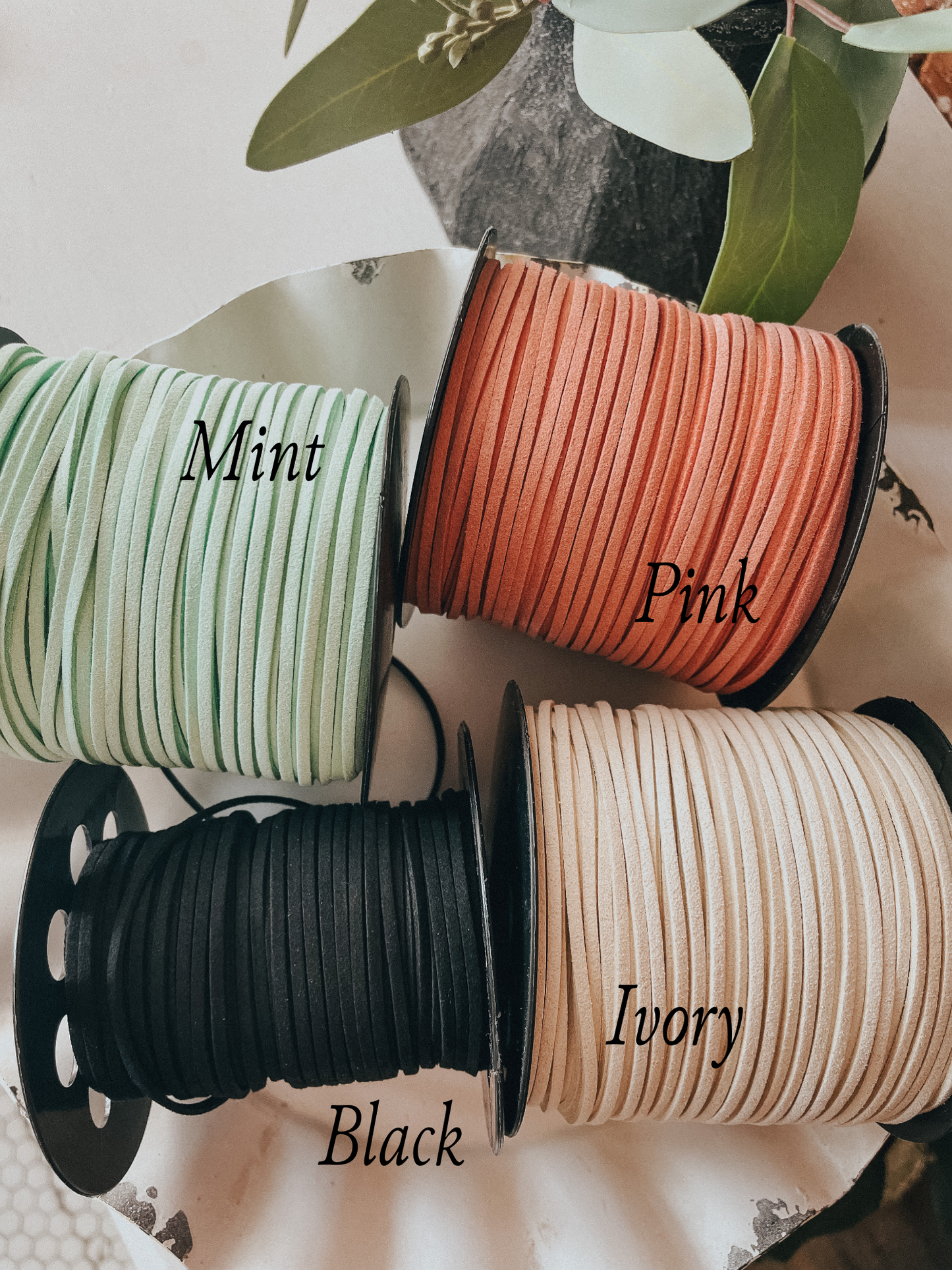 Bunny | Banner