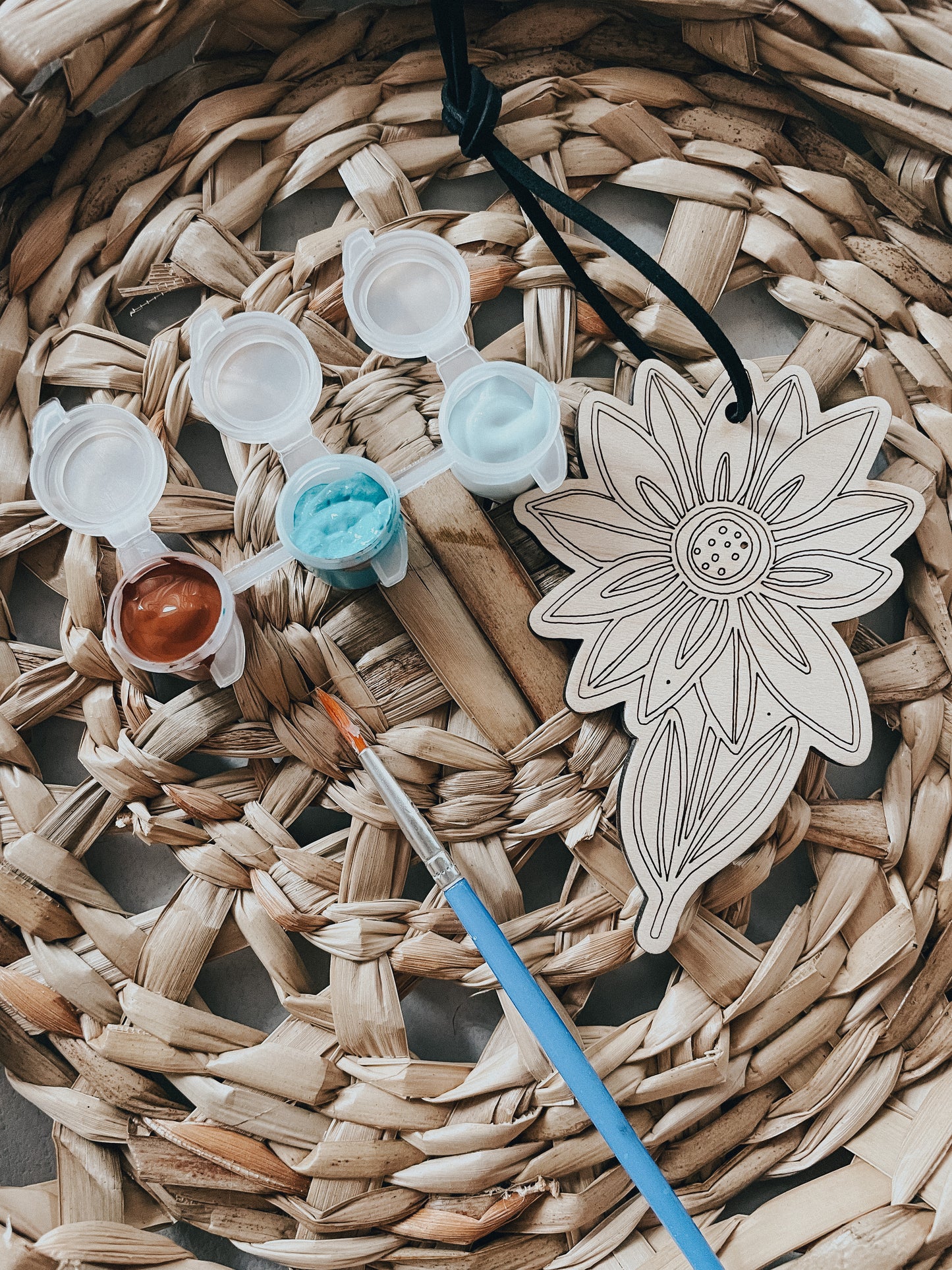 DIY Paint Kit