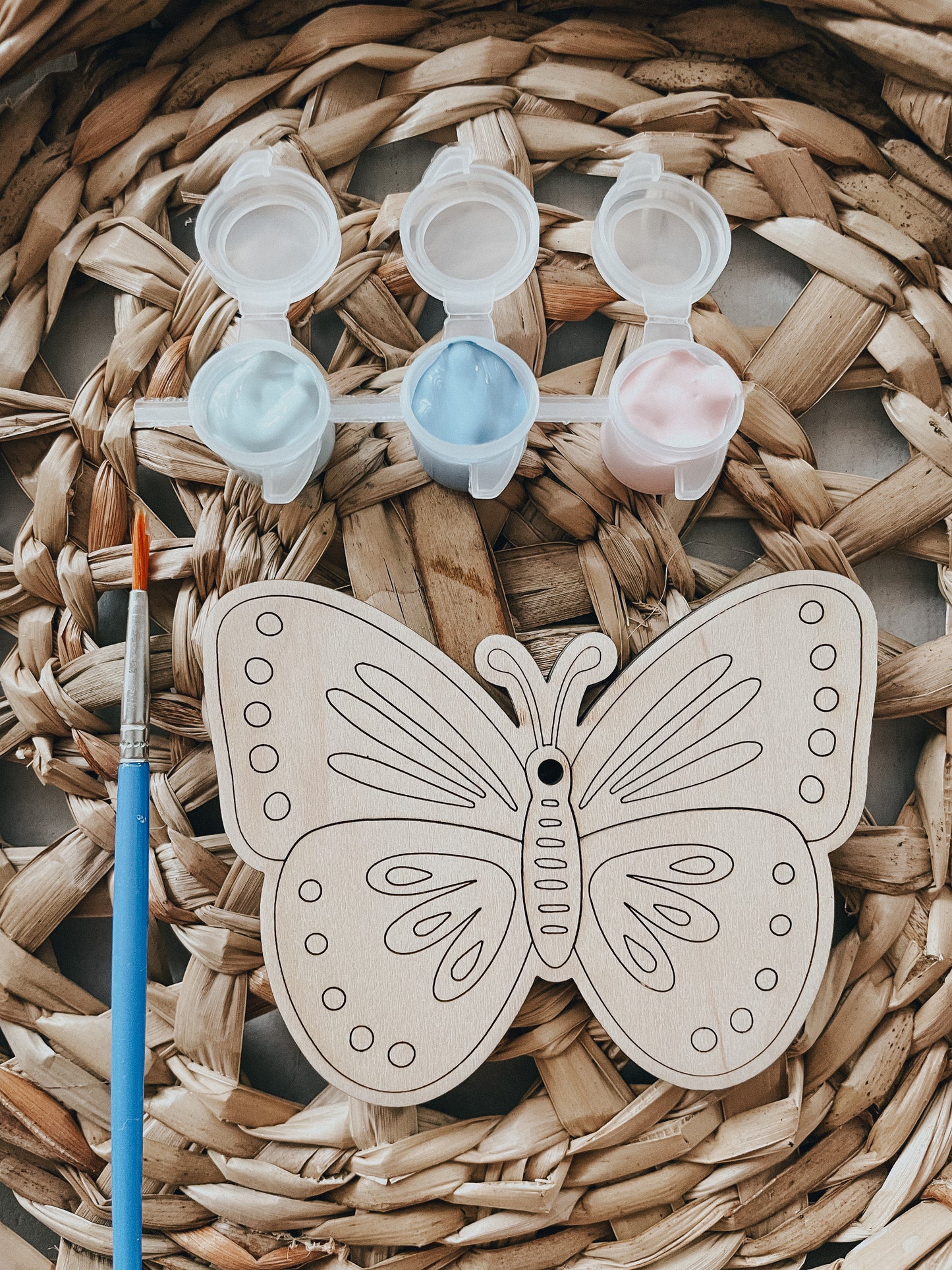 DIY Paint Kit