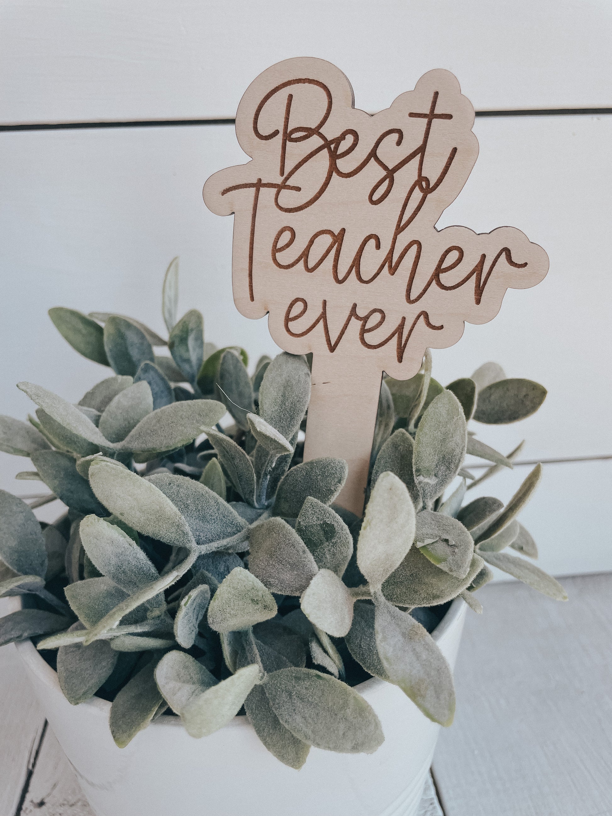 Plant Marker  Teacher – proseandposyco